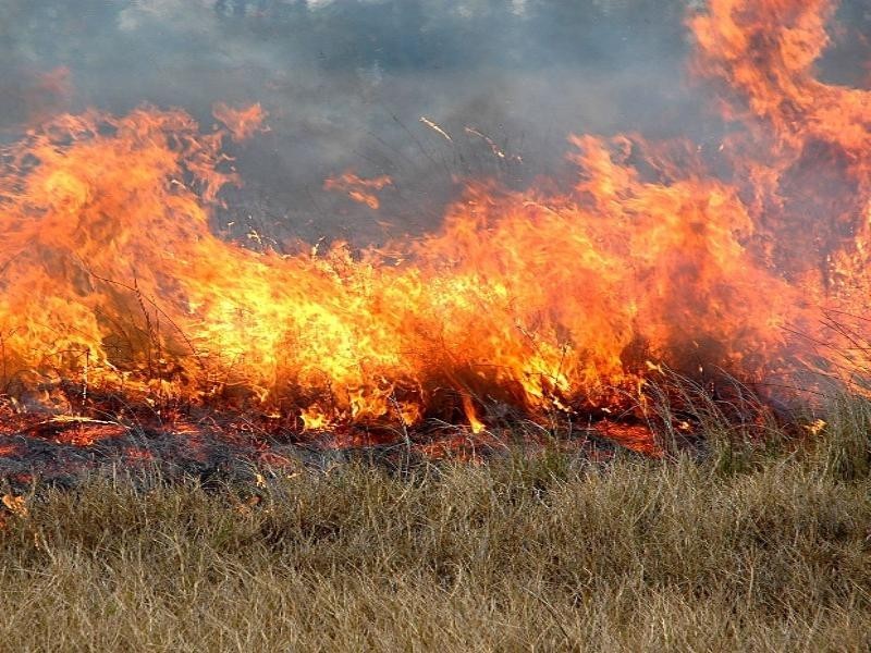 Bentley Park QLD 4869