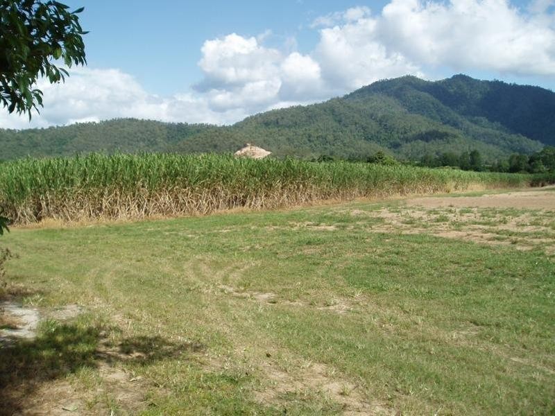 Lot 50 Mt Peter Road, Edmonton QLD 4869