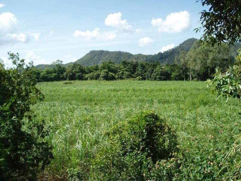 Lot 50 Mt Peter Road, Edmonton QLD 4869