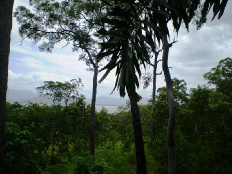 East Trinity QLD 4871