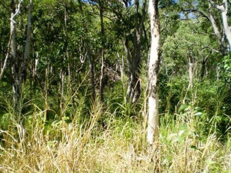 East Trinity QLD 4871