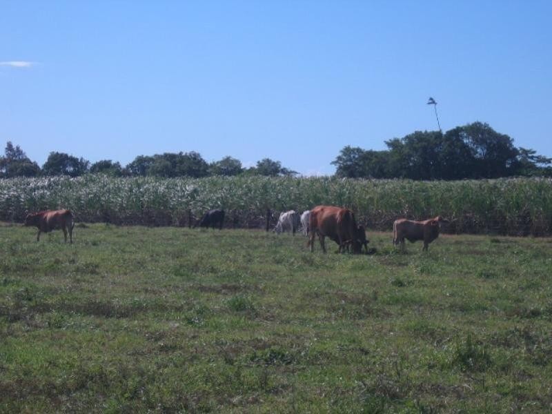 Glen Boughton QLD 4871