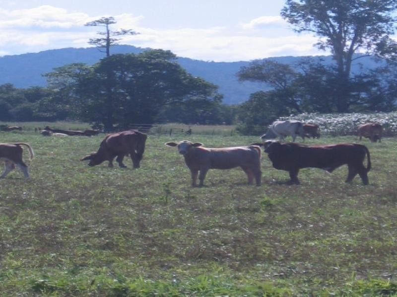 Glen Boughton QLD 4871