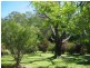 East Trinity QLD 4871
