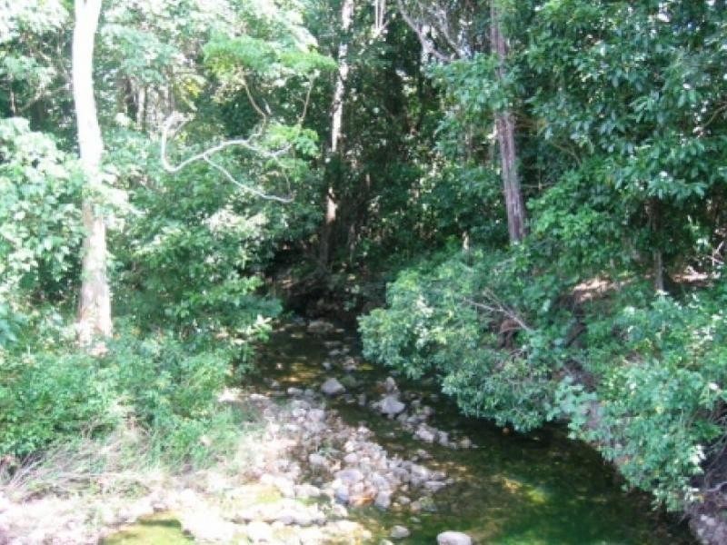 East Trinity QLD 4871