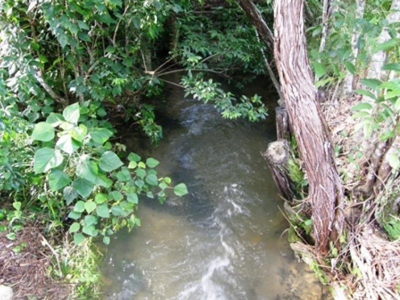 East Trinity QLD 4871