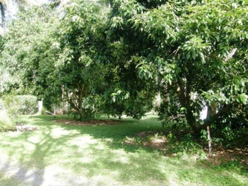 East Trinity QLD 4871