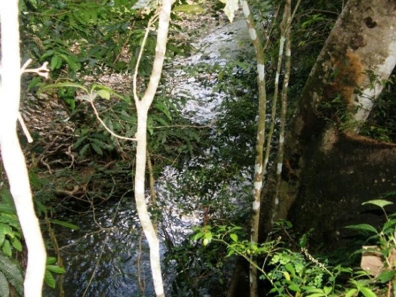 59 Vico Street, Gordonvale QLD 4865