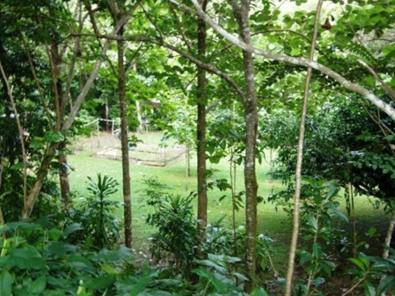 59 Vico Street, Gordonvale QLD 4865