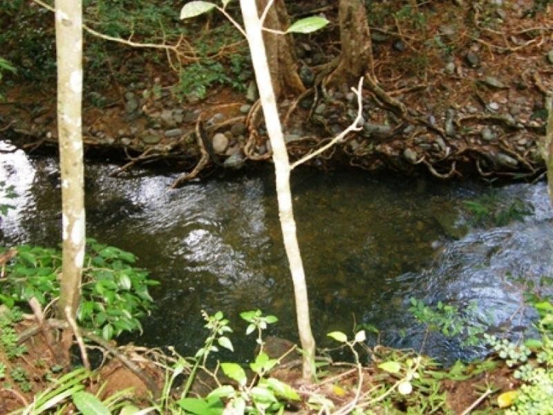 59 Vico Street, Gordonvale QLD 4865