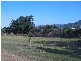Bentley Park QLD 4869