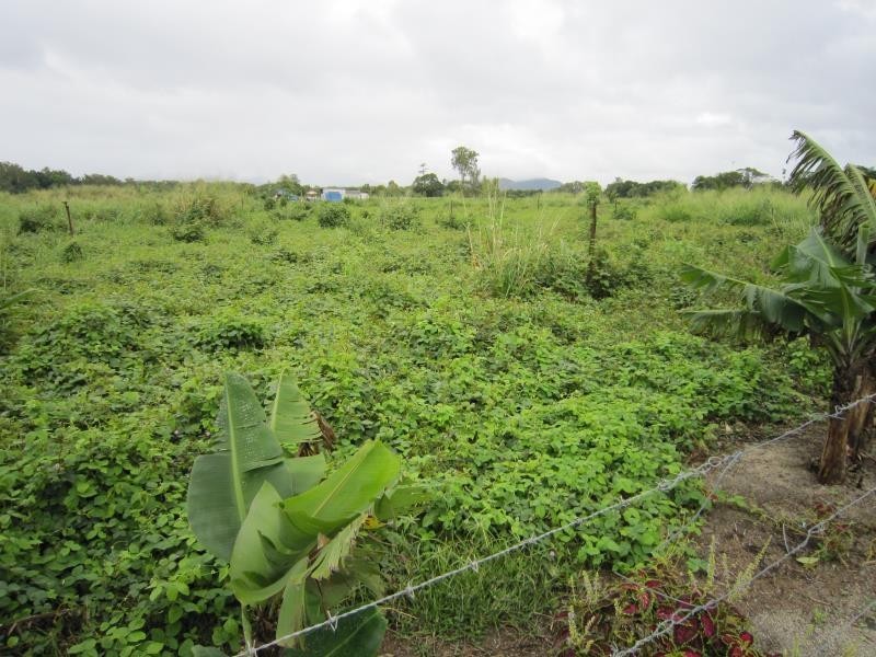 Lot Pine Creek – Yarrabah Road, Glen Boughton QLD 4871