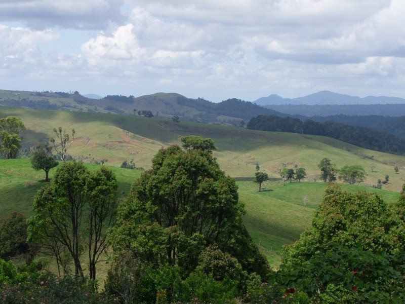 9 Pine Street South, Millaa Millaa QLD 4886