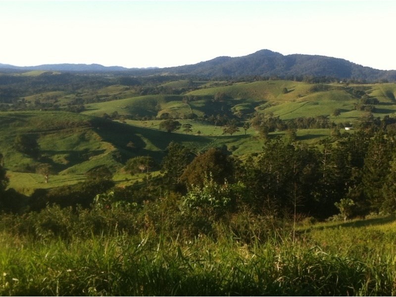 9 Pine Street South, Millaa Millaa QLD 4886