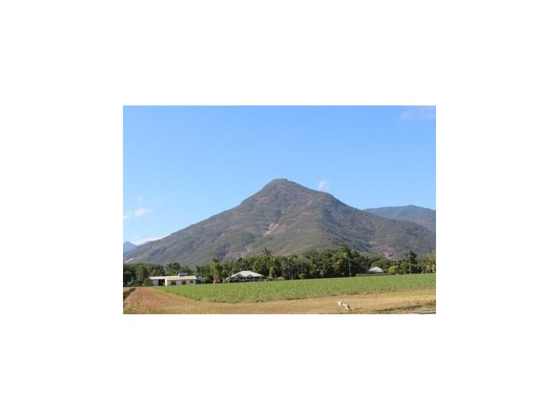 2 Davids Street, Gordonvale QLD 4865