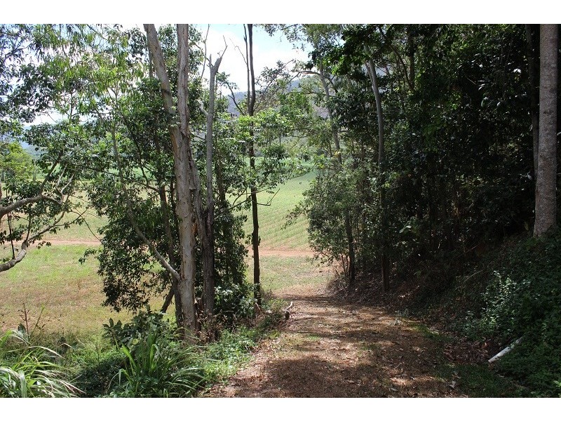 159 Gillies Range Road, Gordonvale QLD 4865