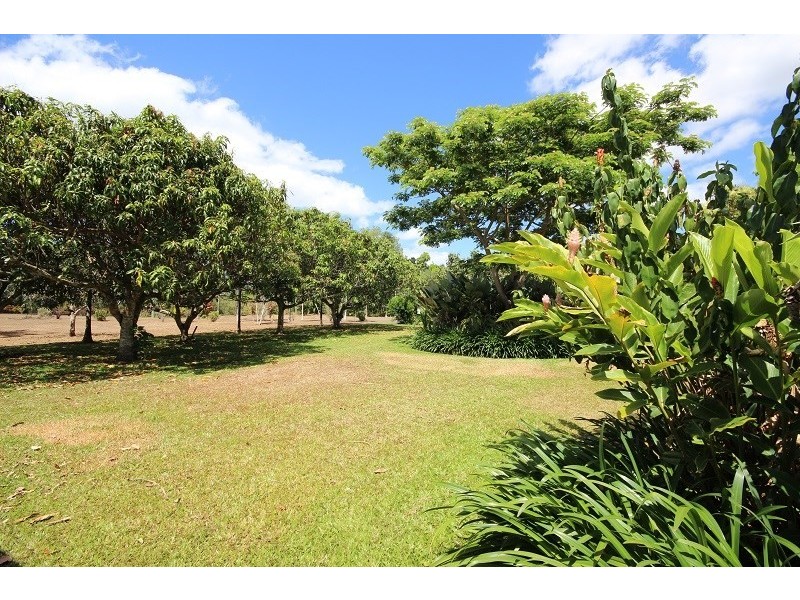 159 Gillies Range Road, Gordonvale QLD 4865
