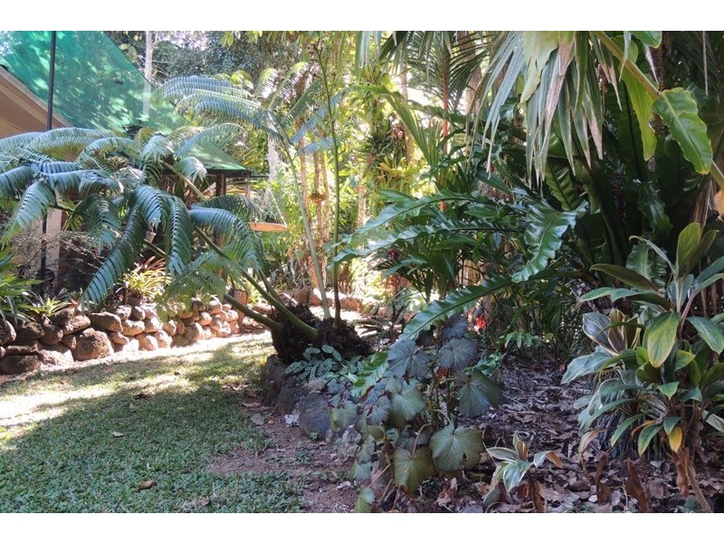 63-65 Vico Street, Gordonvale QLD 4865