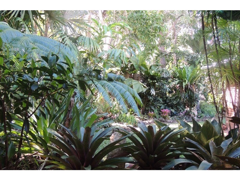 63-65 Vico Street, Gordonvale QLD 4865