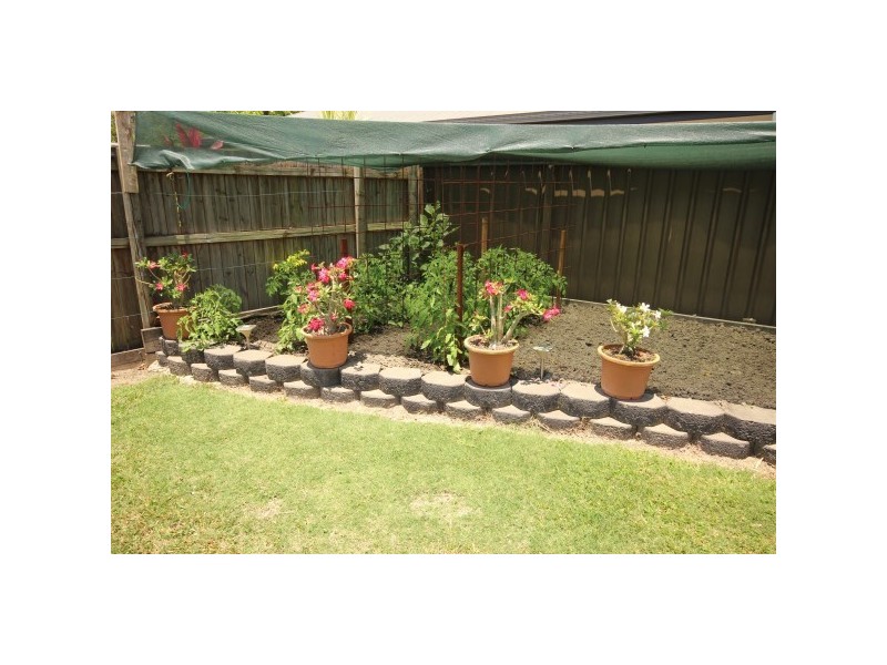 13 Shelbourne Street, Bentley Park QLD 4869