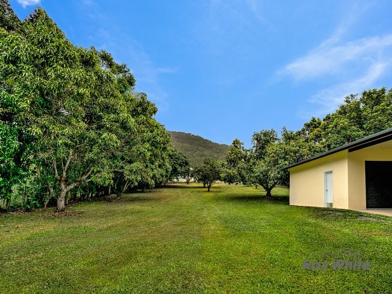 199-201 Dempsey Street, Gordonvale QLD 4865