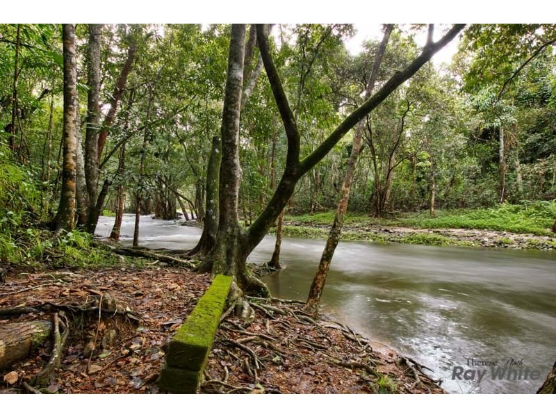 48-50 Appaloosa Street, Little Mulgrave QLD 4865