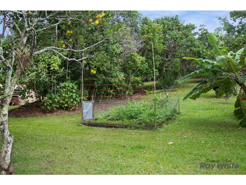 48-50 Appaloosa Street, Little Mulgrave QLD 4865