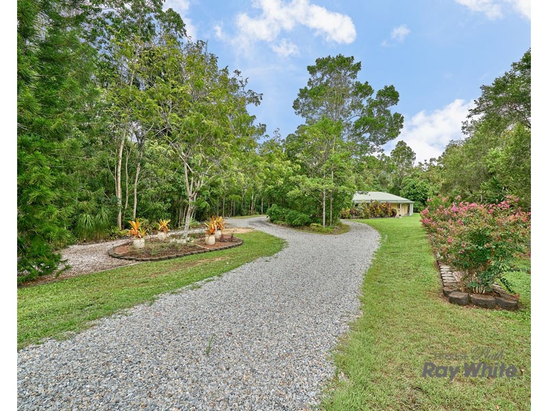 6-8 Palamino Court, Little Mulgrave QLD 4865