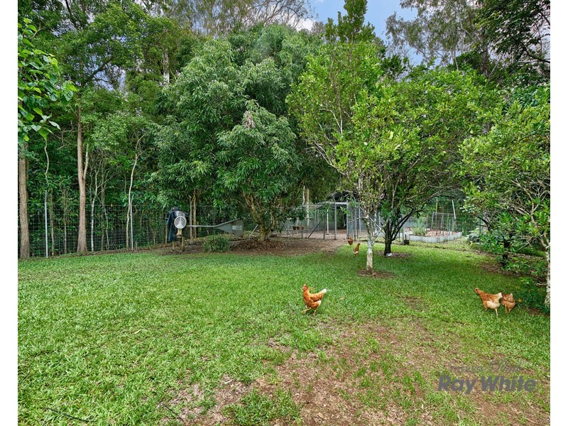 6-8 Palamino Court, Little Mulgrave QLD 4865