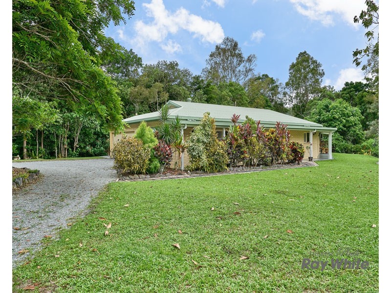 6-8 Palamino Court, Little Mulgrave QLD 4865