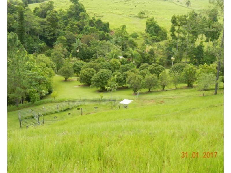 554 Utchee Creek Road, Mena Creek QLD 4871