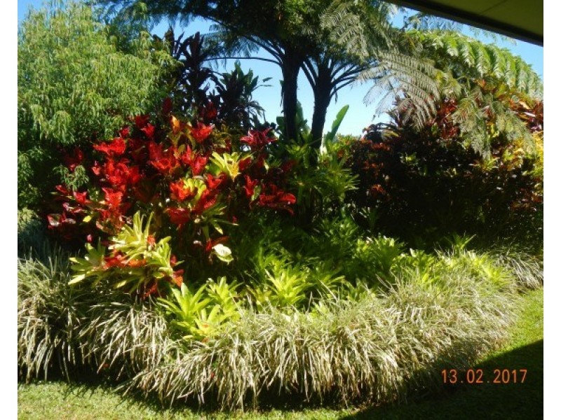 554 Utchee Creek Road, Mena Creek QLD 4871