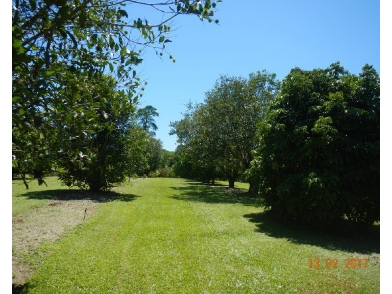 554 Utchee Creek Road, Mena Creek QLD 4871