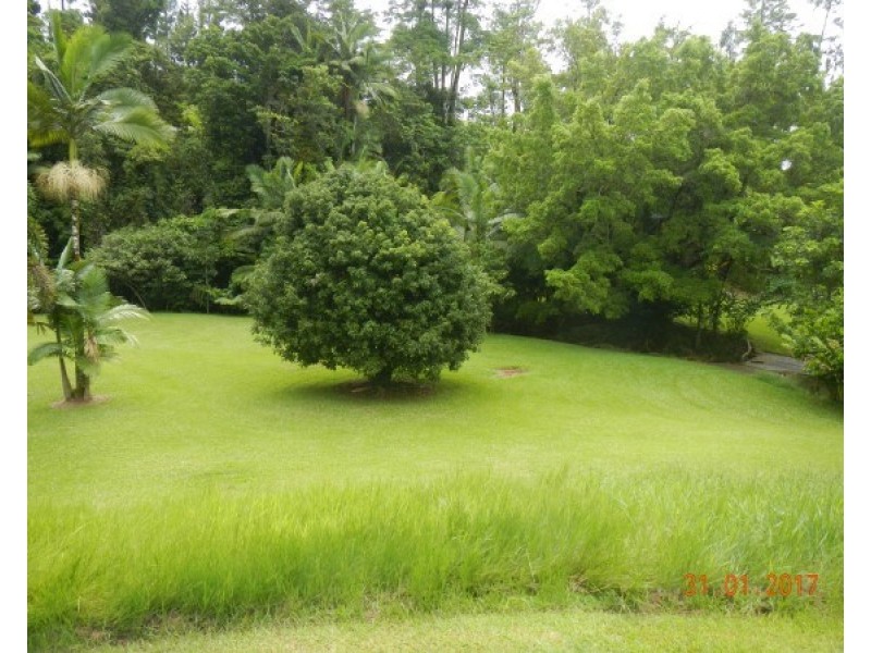 554 Utchee Creek Road, Mena Creek QLD 4871