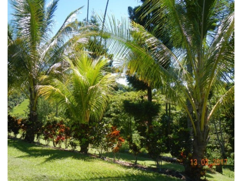 554 Utchee Creek Road, Mena Creek QLD 4871