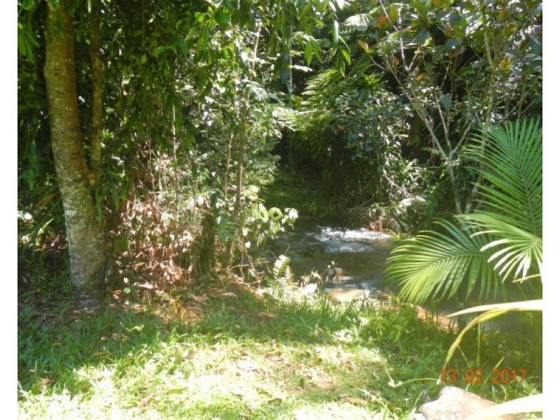 554 Utchee Creek Road, Mena Creek QLD 4871