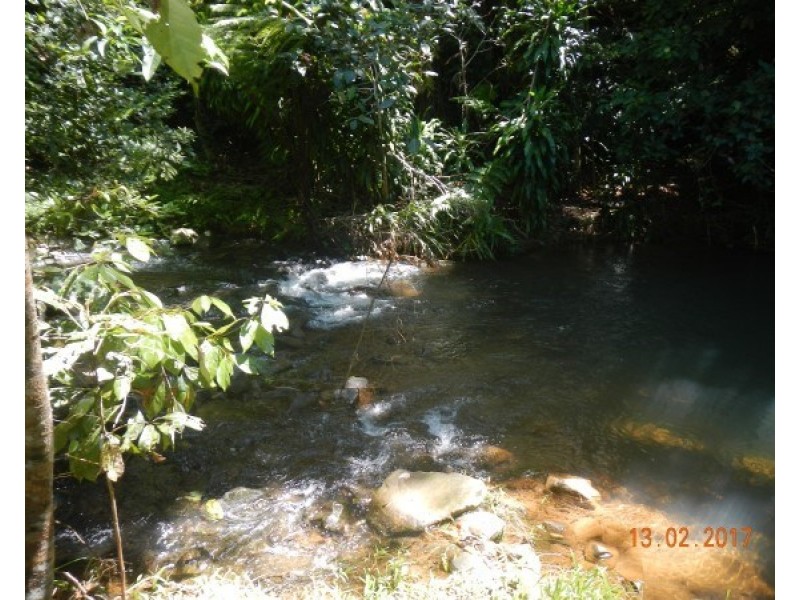 554 Utchee Creek Road, Mena Creek QLD 4871