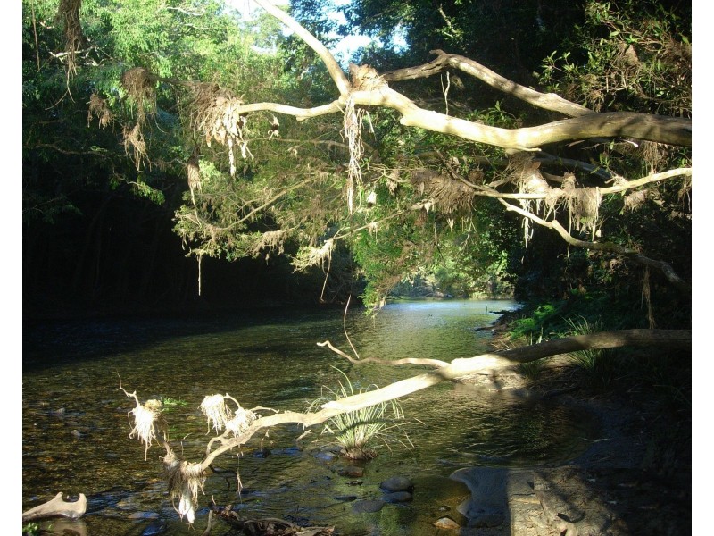 Goldsborough QLD 4865