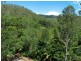 90 Vico Street, Gordonvale QLD 4865