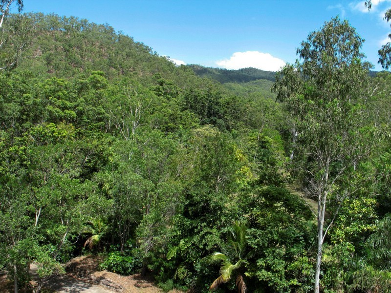 90 Vico Street, Gordonvale QLD 4865