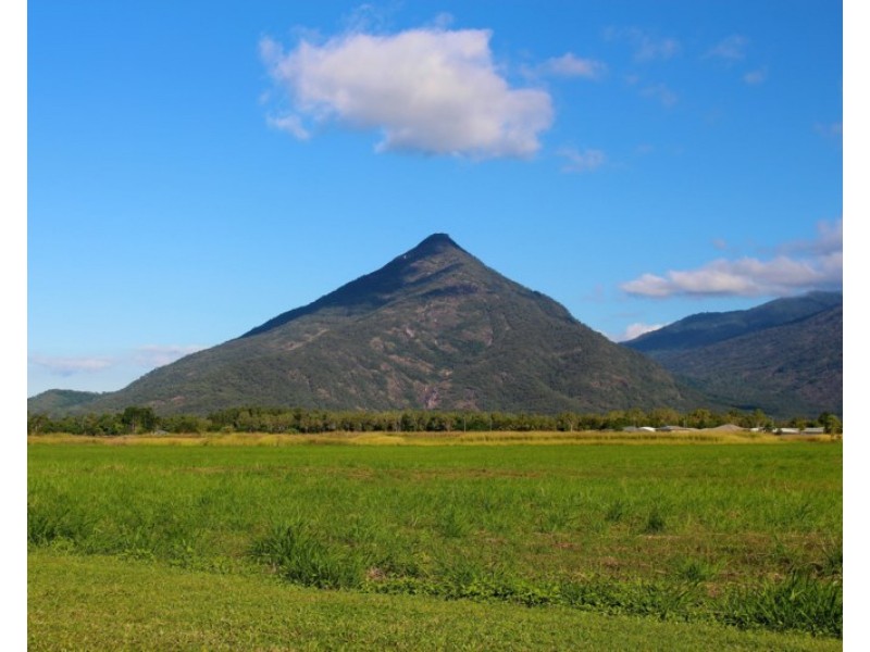19 McSweeney Crescent, Gordonvale QLD 4865