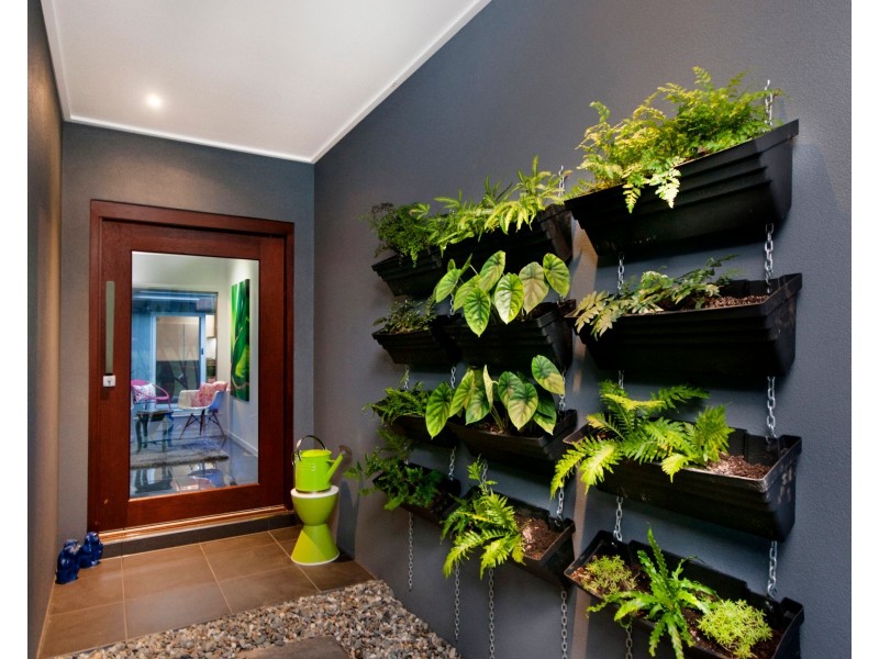 42 Mayflower Street, Mount Sheridan QLD 4868