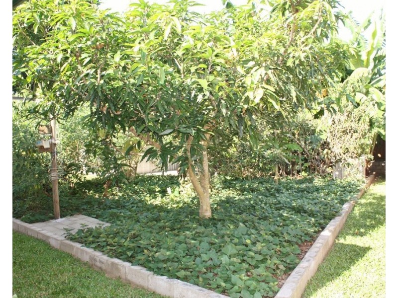 294 Dempsey Street, Gordonvale QLD 4865