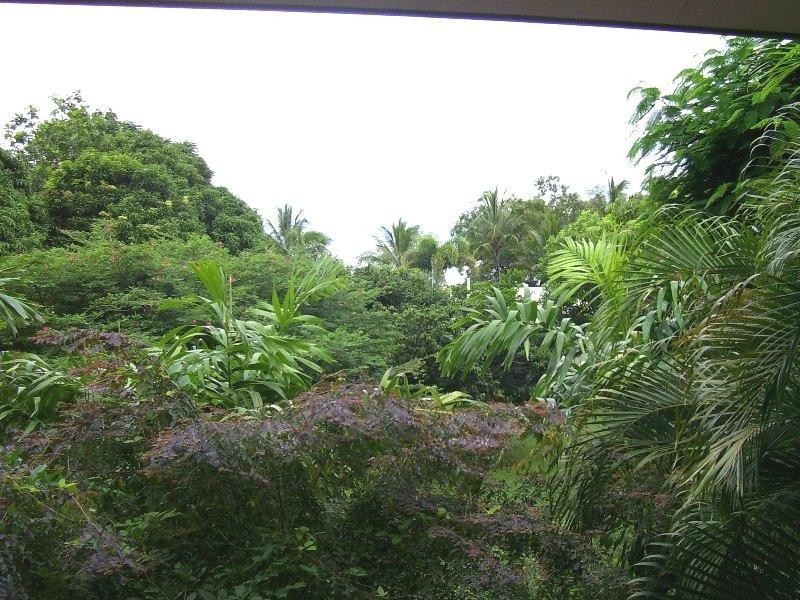 East Trinity QLD 4871