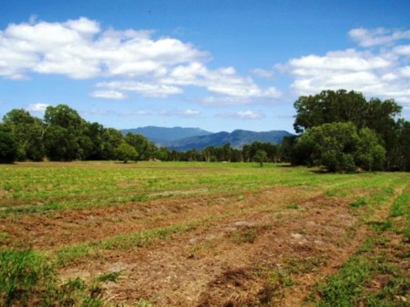 1483 Pine Creek Road, Cairns QLD 4870