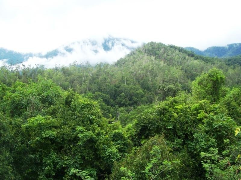 Goldsborough QLD 4865