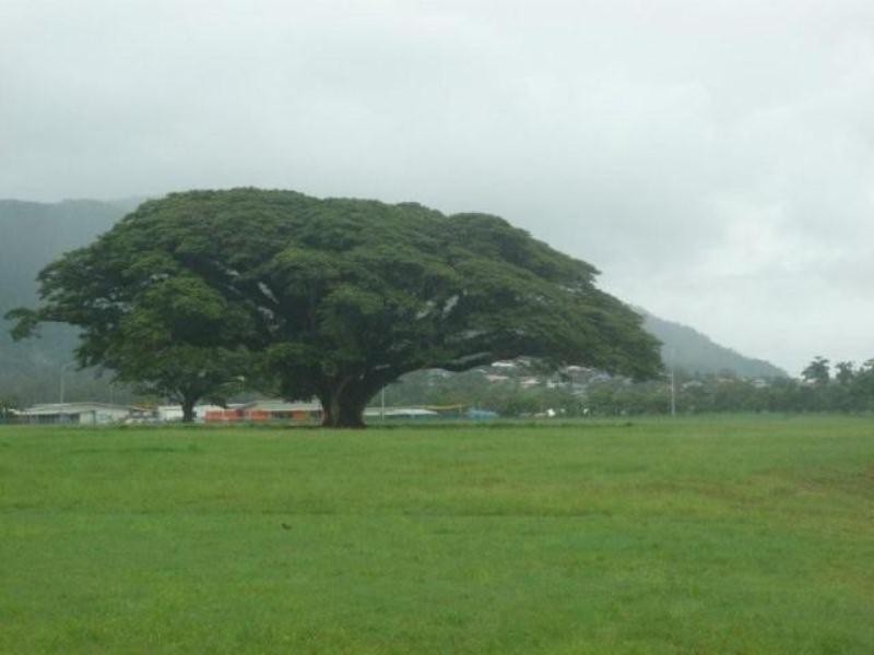 11 Lennox Street, Edmonton QLD 4869