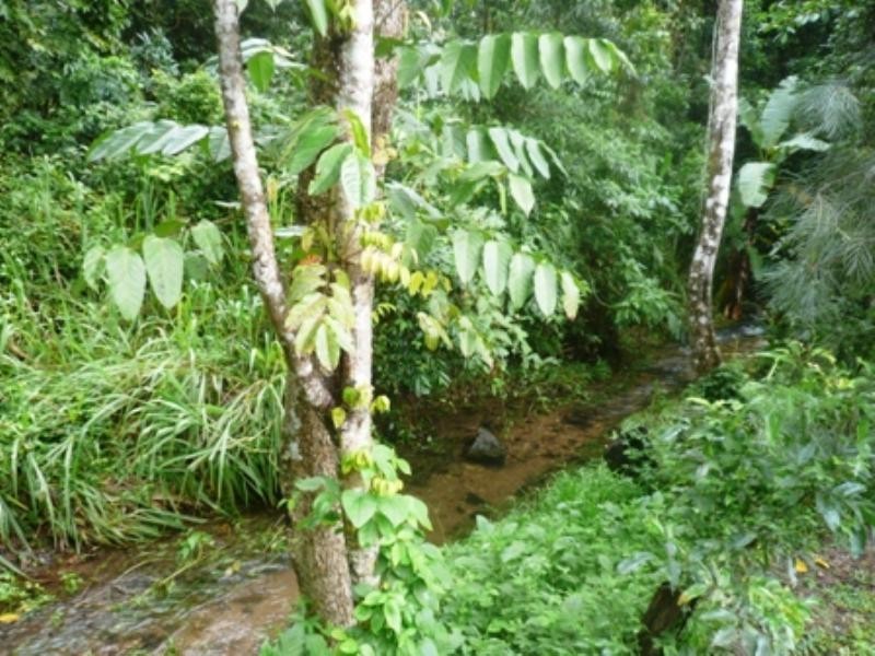 9 Pavetta Close, Mount Sheridan QLD 4868