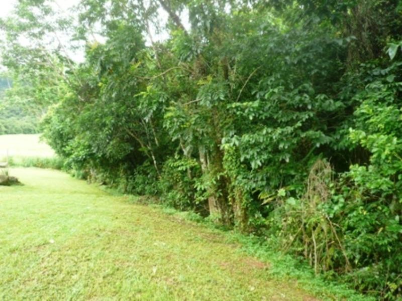 9 Pavetta Close, Mount Sheridan QLD 4868