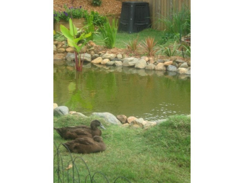 17 McEachan Street, Edmonton QLD 4869